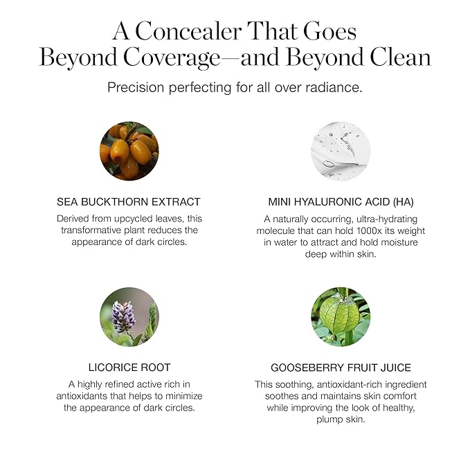 Ogee Complexion Perfecting Under Eye Concealer - Certified Organic Full Coverage Concealer - Buildable Coverage - CYPRESS 1.50C - Light Medium (Cool Undertones)