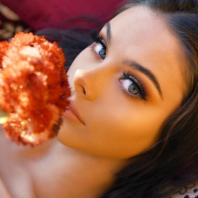 24 Eyeshadow Palette - Festive Luxury Vibrant Bold Full-Color Pigment Long Lasting Matte Shimmer Eye shadow Palette (Abu Dhabi)