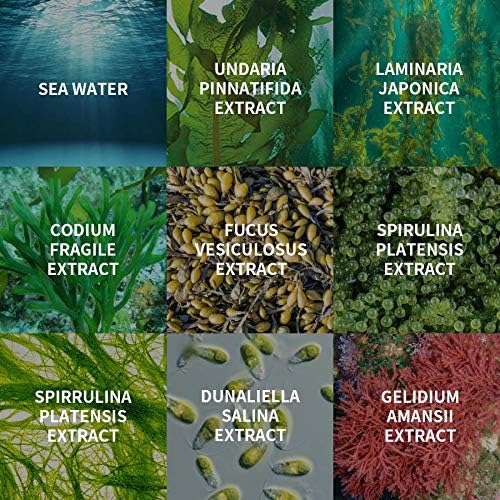 [BUVLEY] 8-Hydro Aqua Bubble Innovative Facial Toner, Deep Hydrating, Moisturizing, Anti Aging - Cruelty Free, Made in Korea Pack of (1)