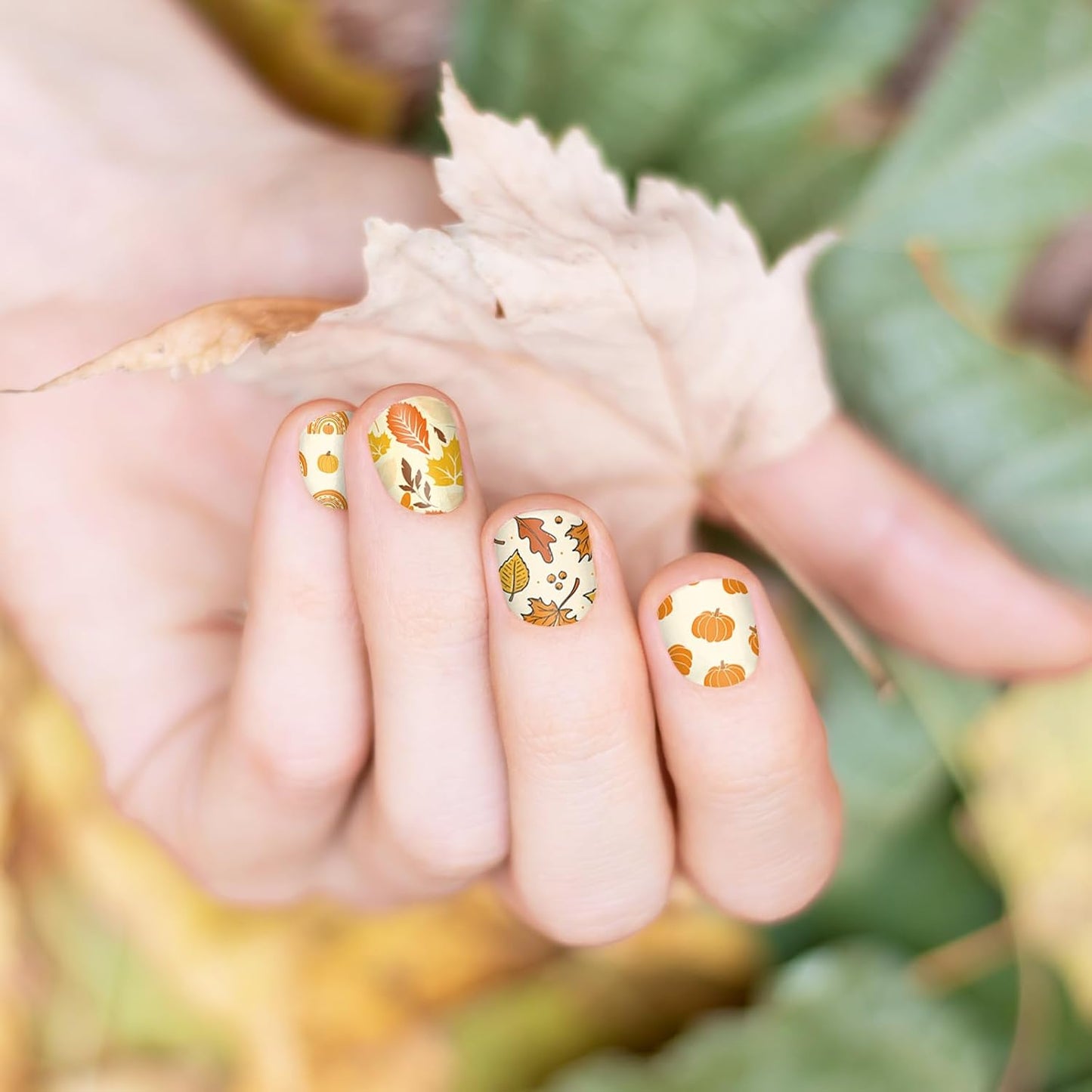 2 Sheet Fall Thanksgiving Nail Art Stamping Plate Kit Assorted Pumpkins Maple Leaves Autumn Blessing Collection Nail Art Plate for Holiday DIY Print Manicure Salon, 5.7 x 3.7inch