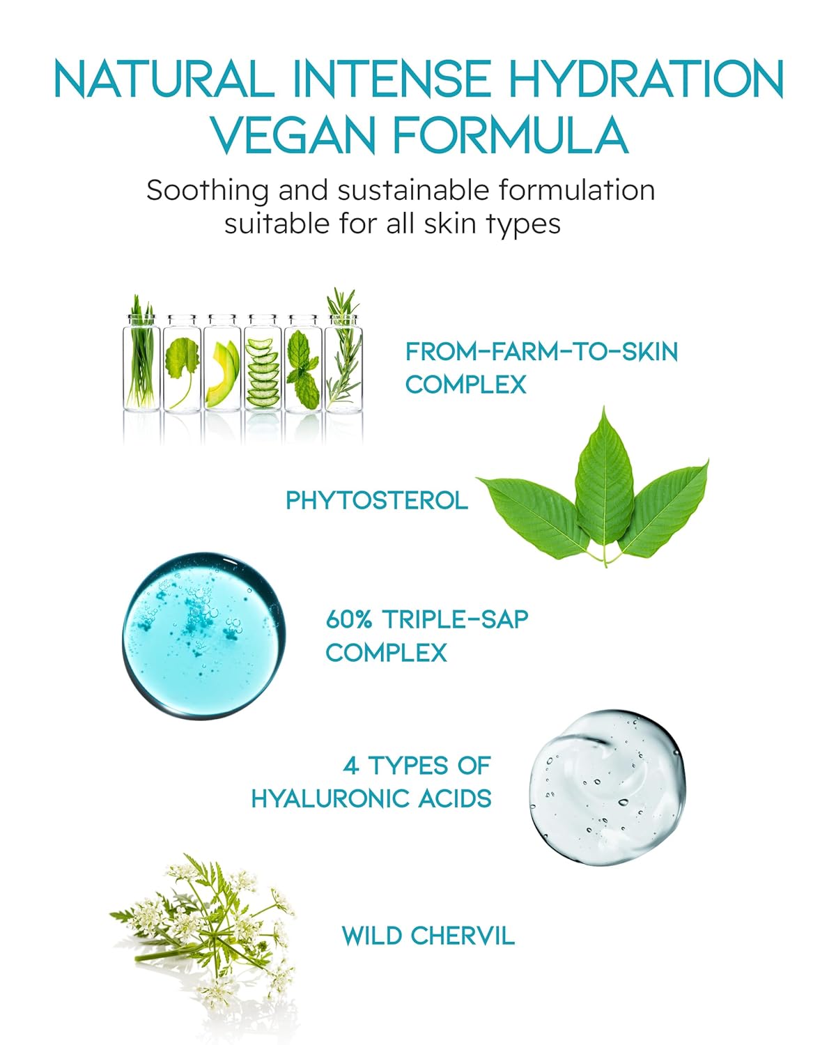 BEYOND Phyto Aqua Moisture Cream (Face Cream, 1.7fl oz) – Vegan Korean Skin Care for 100-Hour Hydration & Skin Barrier by LG Beauty