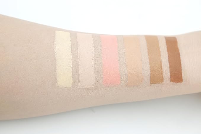 6 Color Contour and Highlighting Makeup Kit Contouring Foundation Concealer Palette Cream Kit Mattle (Medium)