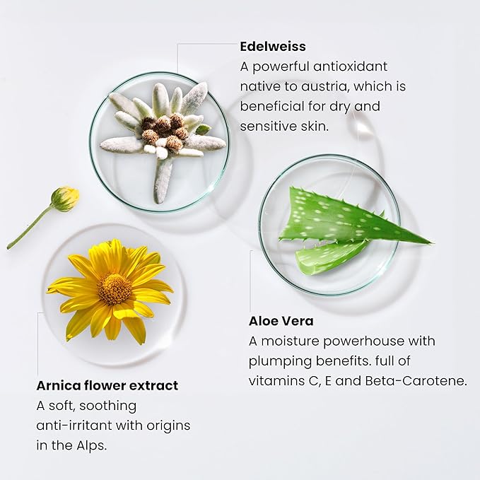 Monika Blunder Beauty - Blunder Cover Foundation Concealer - Shade: 3.5 - Drei.5 - Light/Medium, Neutral with Subtle Pink Undertones - Clean Beauty, All-In-One, Cruelty-Free - 0.62 oz