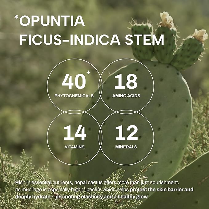 Whamisa Organic Cactus Magic Serum, Anti-Wrinkle & Brightening, Rejuvenation, Strengthen Skin Barrier, Probiotics, Hydrating, Facial Ampoule, Pore Refining (32ml)