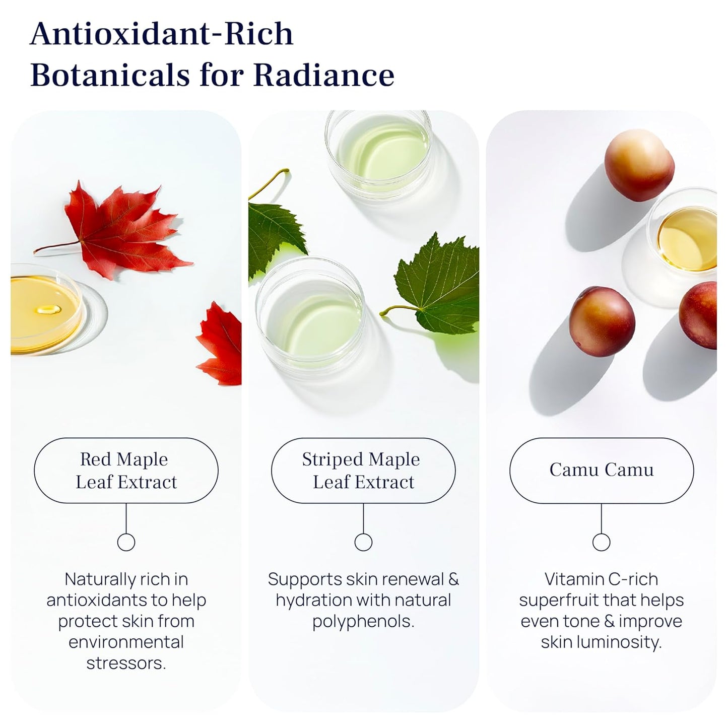 PUREANCE Organic Bakuchiol Plumping Serum - Bakuchiol for Face Skin and Wrinkles - Cellular Restore Serum - With Jojoba Oil, Sea Buckthorn, Camu Camu, Babchi, Maple Leaf Extracts & More - 1 Fl Oz